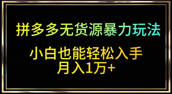 拼多多无货源暴力玩法，全程干货，小白也能轻松入手，月入1万+【揭秘】-优优云网创