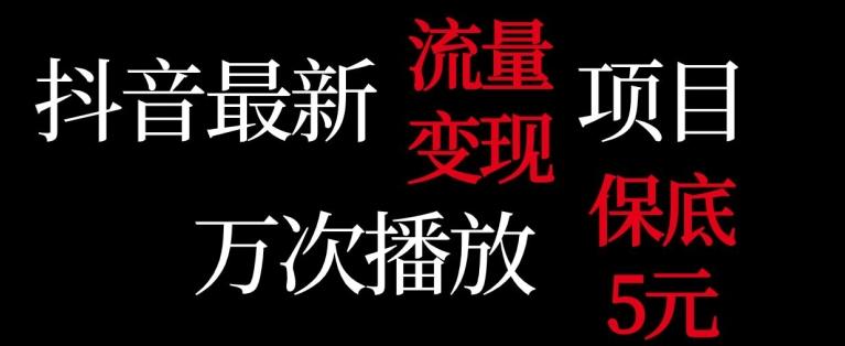 抖音流量变现，万次播放保底5元，额外收入-优优云网创