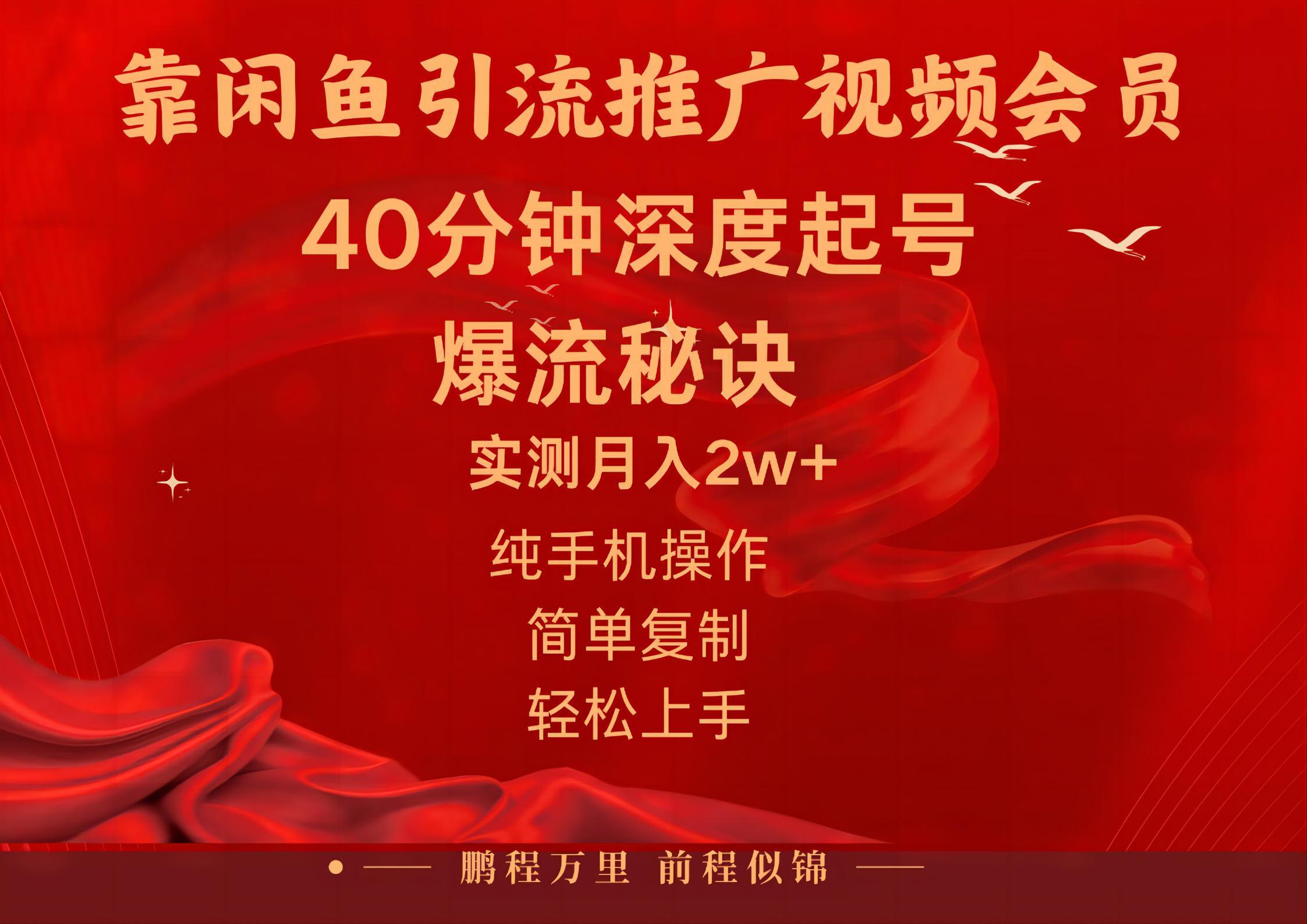 闲鱼暴力引流推广视频会员，能做到日入2W+，操作简单-优优云网创