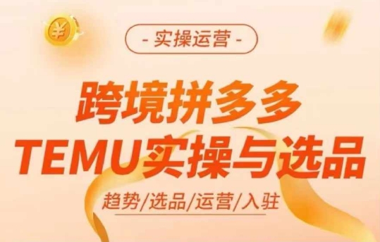 跨境拼多多TEMU实操与选品，多多temu跨境选品运营实操-优优云网创