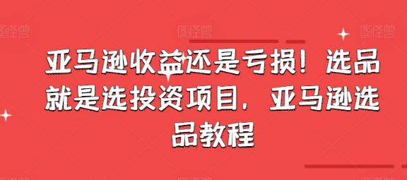 亚马逊收益还是亏损！选品就是选投资项目，亚马逊选品教程-优优云网创