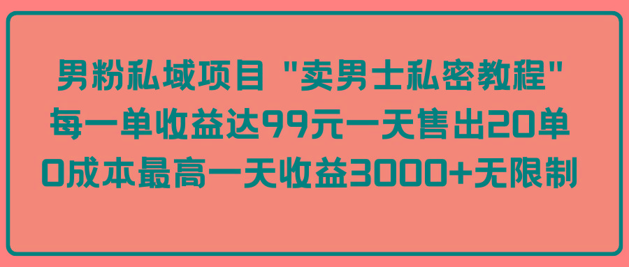 (9730期)男粉私域项目 “卖男士私密教程” 每一单收益达99元一天售出20单-优优云网创