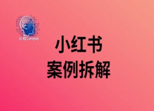 小红书案例拆解，深度解读小红书40万粉-优优云网创