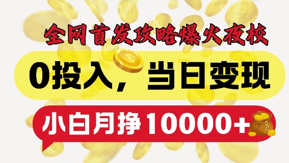 全网首发爆火夜校，0投入，当日变现，小白轻松月入1w+【揭秘】-优优云网创