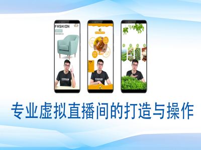 个人虚拟直播间的搭建与操作，专业虚拟直播间的打造与操作-优优云网创