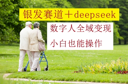 银发赛道+deepseek数字人全域变现，小白也能操作-优优云网创