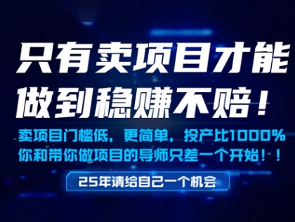 只有卖项目才能做到稳挣不赔，门槛低，更简单，你也可以年入百个W【揭秘】-优优云网创