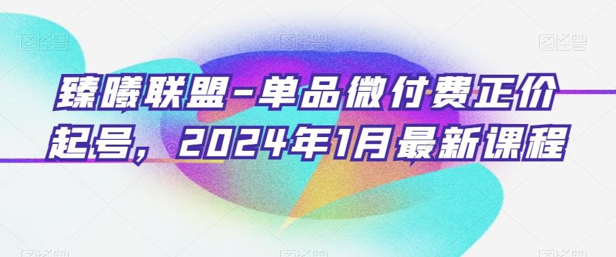 臻曦联盟-单品微付费正价起号，2024年1月最新课程-优优云网创