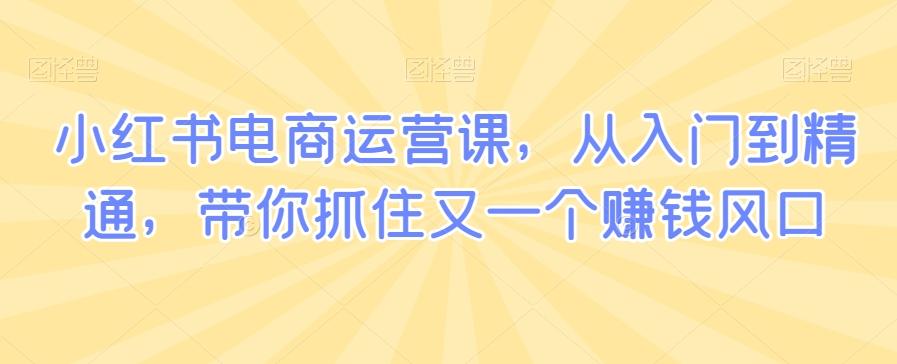 小红书电商运营课，从入门到精通，带你抓住又一个赚钱风口-优优云网创