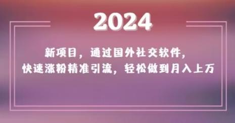 2024新项目，通过国外社交软件，快速涨粉精准引流，轻松做到月入上万【揭秘】-优优云网创