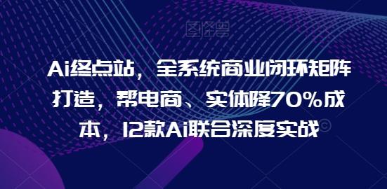 Ai终点站，全系统商业闭环矩阵打造，帮电商、实体降70%成本，12款Ai联合深度实战-优优云网创