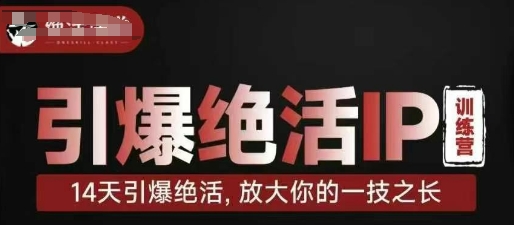 引爆绝活IP训练营，14天引爆绝活，放大你的一技之长-优优云网创