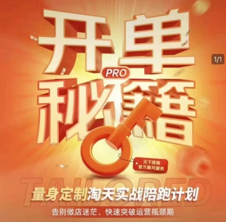 淘宝开单秘籍PRO，量身定制淘天实战陪跑计划，告别做店迷茫、快速突破运营瓶颈期-优优云网创