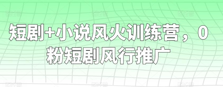 短剧+小说风火训练营，0粉短剧风行推广-优优云网创