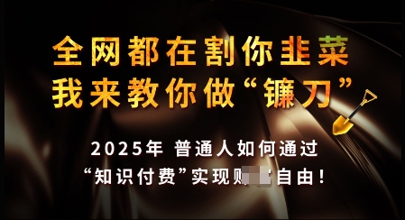 知识付费如何做到月入过W+，2025我来教你做“镰刀”【揭秘】-优优云网创