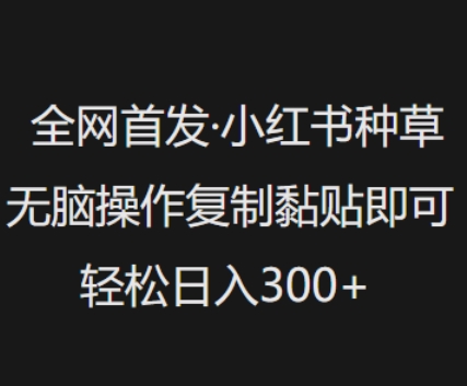全网首发，小红书种草无脑操作，复制黏贴即可，轻松日入3张-优优云网创