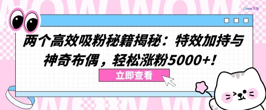 两个高效吸粉秘籍揭秘：特效加持与神奇布偶，轻松涨粉5000+【揭秘】-优优云网创