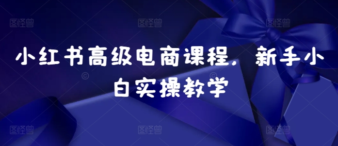 小红书高级电商课程，新手小白实操教学-优优云网创