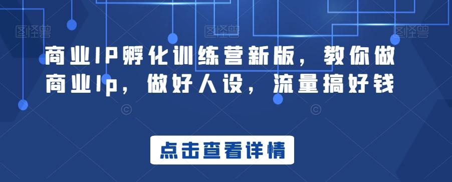 商业IP孵化训练营新版，教你做商业Ip，做好人设，流量搞好钱-优优云网创