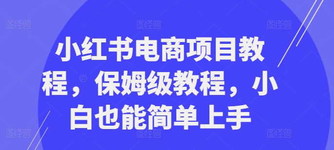 小红书电商项目教程，保姆级教程，小白也能简单上手-优优云网创