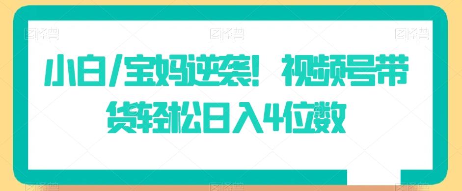 小白/宝妈逆袭！视频号带货轻松日入4位数【揭秘】-优优云网创