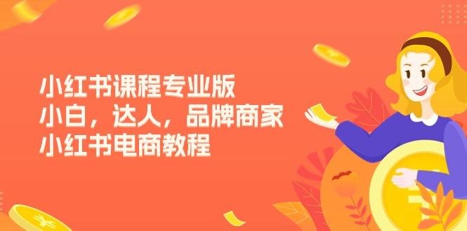 小红书课程专业版，小白，达人，品牌商家，小红书电商教程(15节-优优云网创