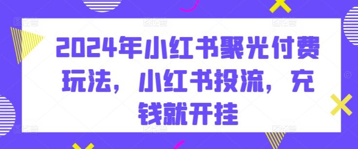 2024年小红书聚光付费玩法，小红书投流，充钱就开挂-优优云网创