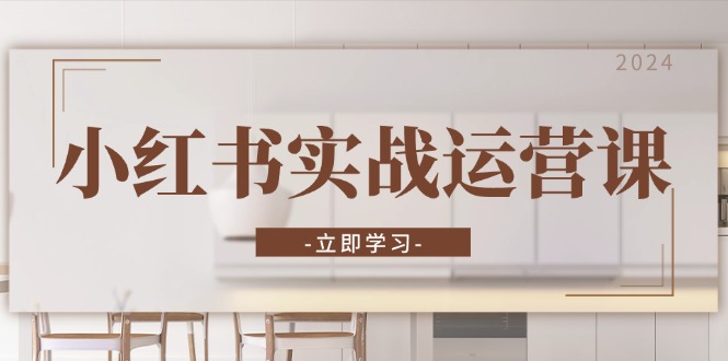 小红书实战运营课：从开通店铺到直播话术，打造爆款笔记与高效直播-优优云网创