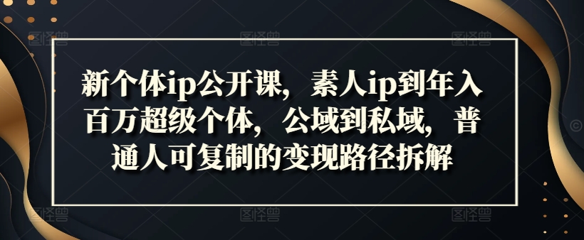 新个体ip公开课，素人ip到年入百万超级个体，公域到私域，普通人可复制的变现路径拆解-优优云网创