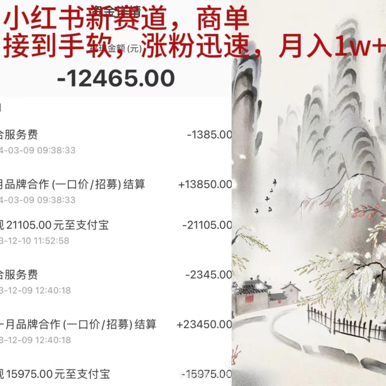(9476期)小红书新赛道，商单接到手软，涨粉迅速，月入1w+-优优云网创