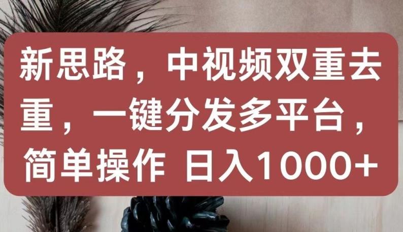 新思路，中视频双重去重，一键分发多平台，简单操作，日入1000+【揭秘】-优优云网创