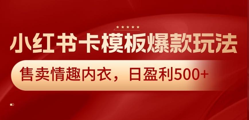 小红书卡模板爆款玩法，售卖情趣内衣，日盈利500+【揭秘】-优优云网创
