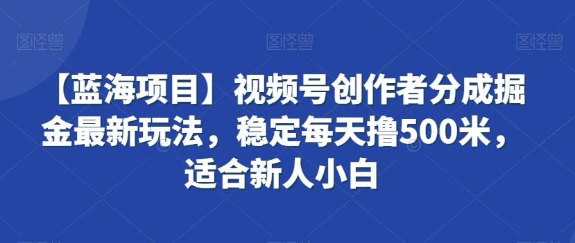 【蓝海项目】视频号创作者分成掘金最新玩法，稳定每天撸500米，适合新人小白【揭秘】-优优云网创