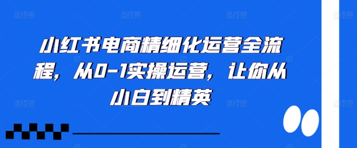 小红书电商精细化运营全流程，从0-1实操运营，让你从小白到精英-优优云网创
