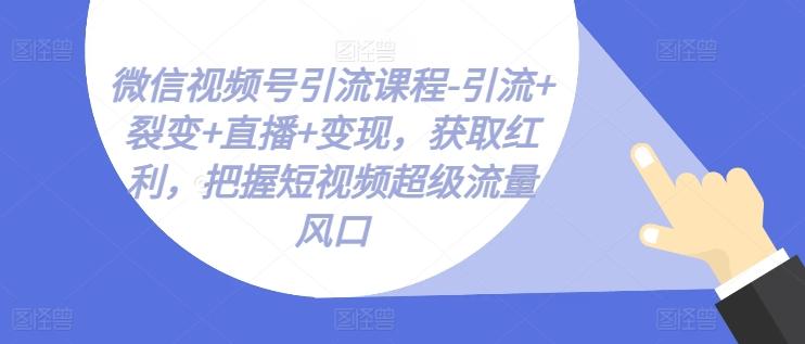 微信视频号引流课程-引流+裂变+直播+变现，获取红利，把握短视频超级流量风口-优优云网创