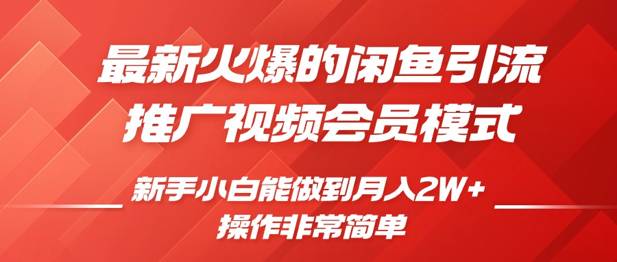 闲鱼引流推广影视会员，0成本就可以操作，新手小白月入过W+【揭秘】-优优云网创