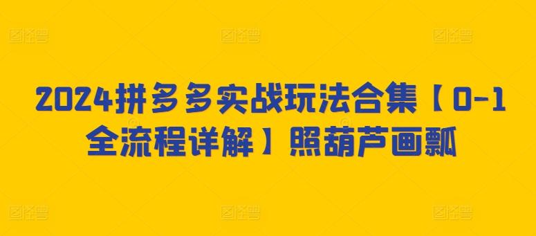 2024拼多多实战玩法合集【0-1全流程详解】照葫芦画瓢-优优云网创