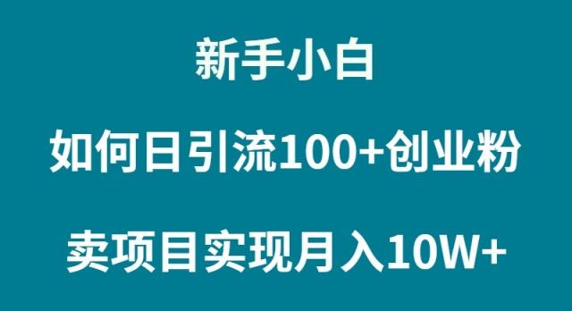 (9556期)新手小白如何通过卖项目实现月入10W+-优优云网创