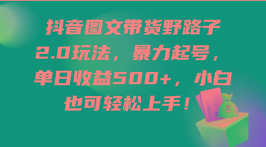 (9790期)抖音图文带货野路子2.0玩法，暴力起号，单日收益500+，小白也可轻松上手！-优优云网创