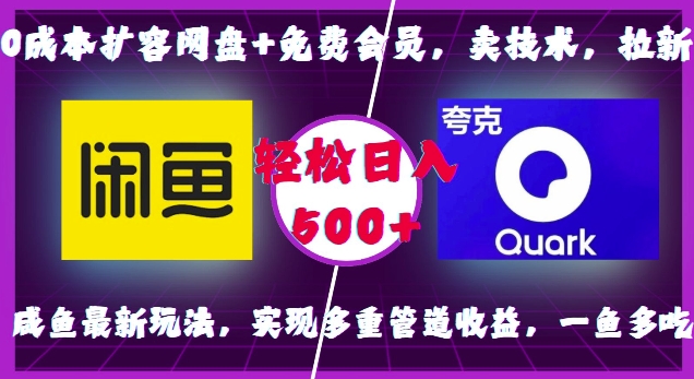 0成本扩容网盘+免费会员，卖技术，拉新，咸鱼最新玩法，实现多重管道收益，一鱼多吃，轻松日入500+-优优云网创