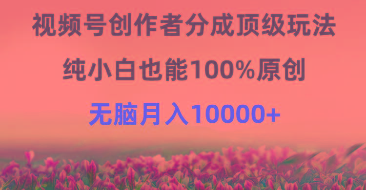 (9608期)视频号创作者分成顶级玩法，纯小白也能100%原创，无脑月入10000+-优优云网创