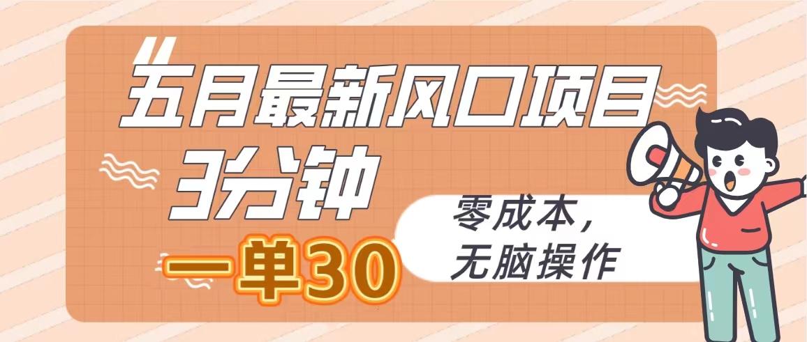 五月最新风口项目，3分钟一单30，零成本，无脑操作-优优云网创