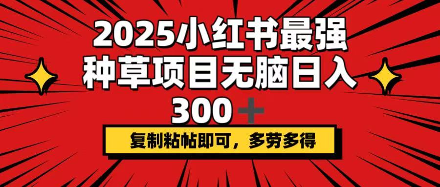 2025小红书最强种草项目，无脑日入300+，复制粘帖即可，多劳多得-优优云网创