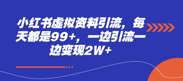 小红书虚拟资料引流，每天都是99+，一边引流一边变现2W+-优优云网创