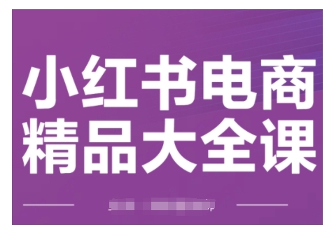 小红书电商精品大全课，快速掌握小红书运营技巧，实现精准引流与爆单目标，轻松玩转小红书电商(更新2月)-优优云网创