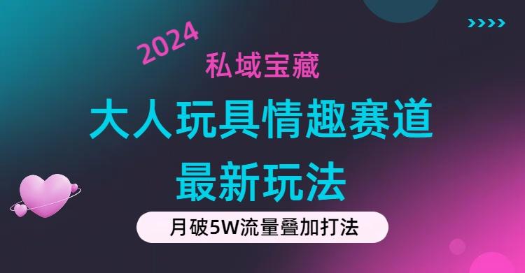 私域宝藏：大人玩具情趣赛道合规新玩法，零投入，私域超高流量成单率高-优优云网创