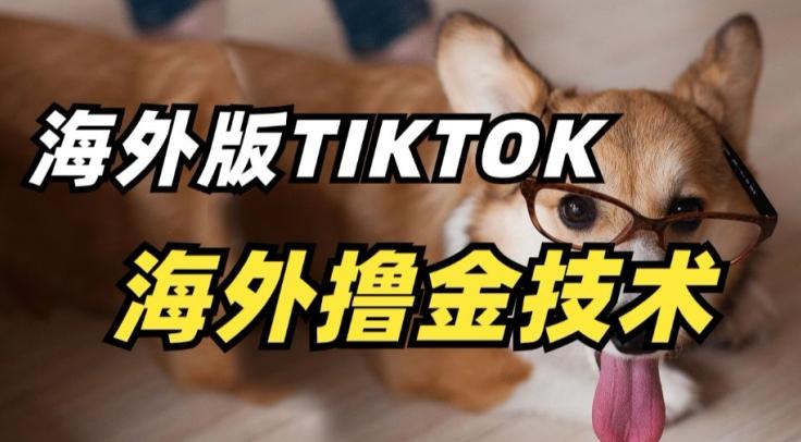 抖音海外版tiktok撸金技术，这个风口行业，赚钱真的不难【揭秘】-优优云网创