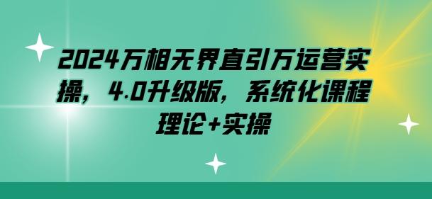 2024万相无界直引万运营实操，4.0升级版，系统化课程 理论+实操-优优云网创