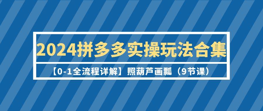 (9559期)2024拼多多实操玩法合集【0-1全流程详解】照葫芦画瓢(9节课)-优优云网创
