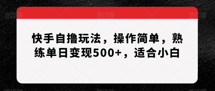 快手自撸玩法，操作简单，熟练单日变现500+，适合小白【揭秘】-优优云网创